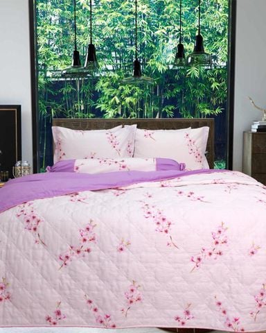 Bộ Drap & Vỏ Chăn 180x200 (5 Món)