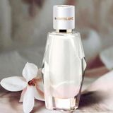 Nước Hoa Nữ Signature EDP 30ml ( DATE 07/2026 )