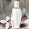 Nước Hoa Nữ Signature EDP 30ml ( DATE 07/2026 )
