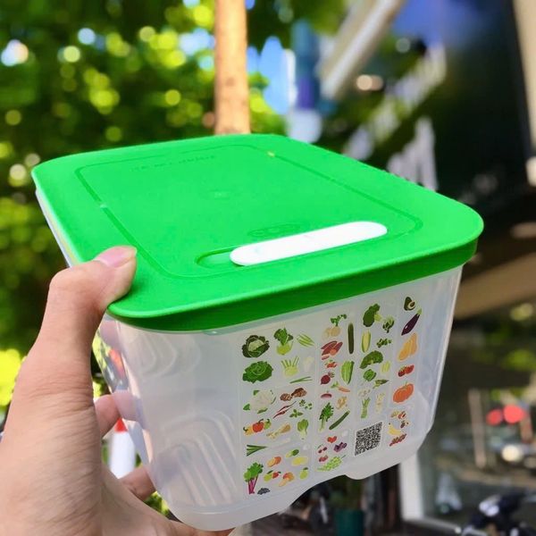 Bộ Hộp Trữ Mát Có Nút Hô Hấp Ventsmart (4 Hộp)