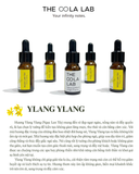  Ylang Ylang Essential Oil - Space Perfume 