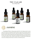  Jasmine Essential Oil - Space Perfume 