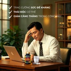 Tinh dầu thông đỏ Calliane Red Pine Gold 500mg hộp 100 viên
