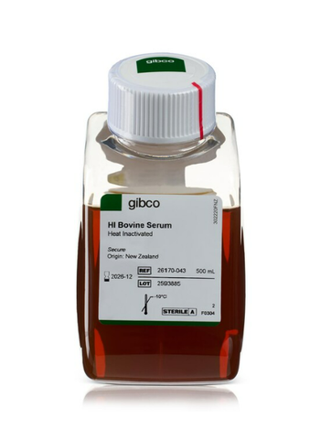 Huyết thanh bò, bất hoạt nhiệt-Bovine Serum, heat inactivated, New Zealand origin