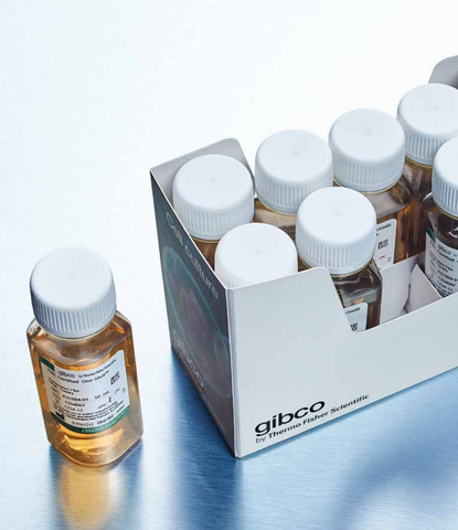 Huyết thanh cho nuôi tế bào động vật, đóng gói tiện dụng - One Shot Fetal Bovine Serum (FBS)