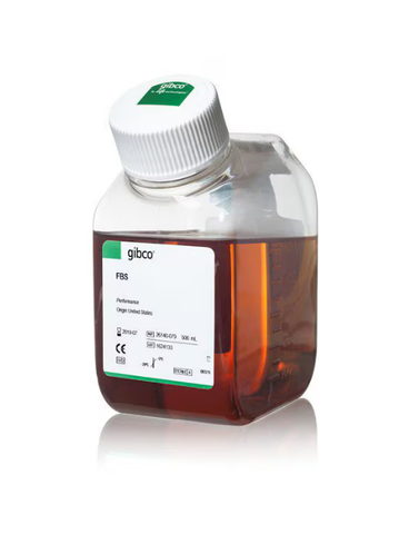 Huyết thanh FBS - xuất xứ Nam Mỹ - Fetal Bovine Serum, qualified, Brazil