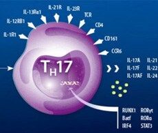 Kháng thể - Flow cytometry