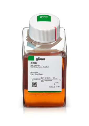 Huyết thanh bào thai bò, bất hoạt nhiệt-Fetal Bovine Serum, qualified, heat inactivated, United States