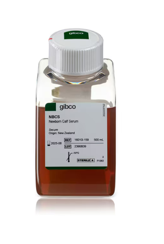 Huyết thanh bê, xuất xứ New Zealand -Newborn Calf Serum, New Zealand origin