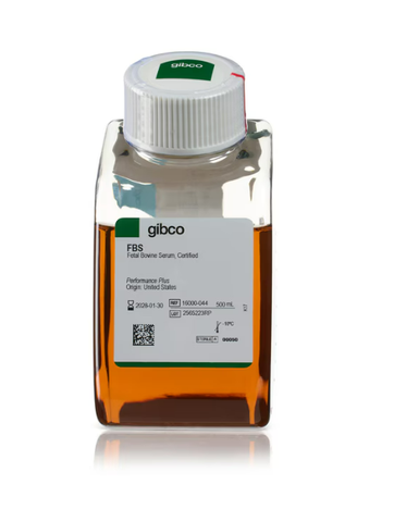 Huyết thanh FBS- xuất xứ Mỹ-Fetal Bovine Serum, certified, US origin