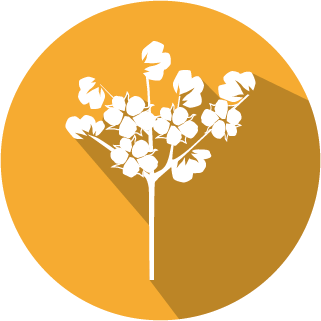 Cry1Ac/Cry2A/CP4EPSPS(RR) for Cotton