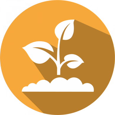 PAT/bar LFS kit for Mustard or Canola