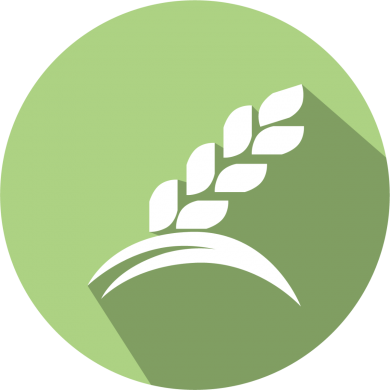 SENSISpec INgezim Gluten Quick