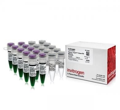 Platinum™ SuperFi II Green PCR Master Mix