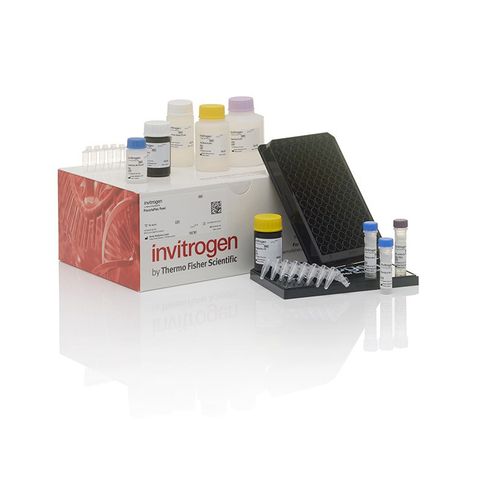 Cytokine/Chemokine/Growth Factor Convenience 45-Plex Human ProcartaPlex™ Panel 1