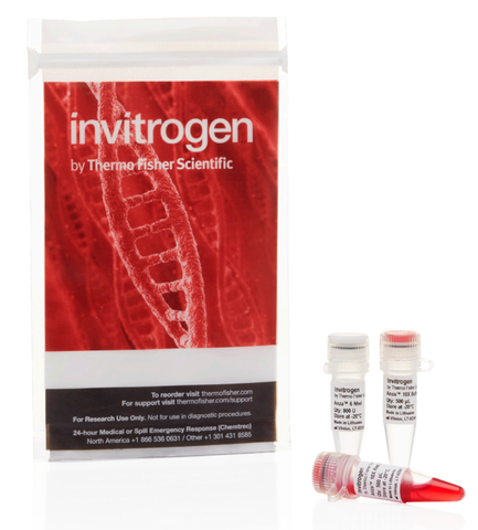 Enzyme cắt giới hạn và enzyme biến đổi - Anza restriction and DNA modifying enzymes