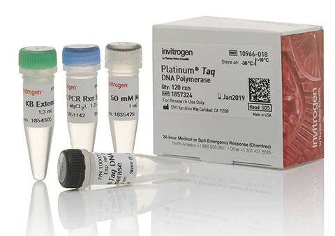 Enzyme khuếch đại DNA- Platinum™ Taq DNA Polymerase