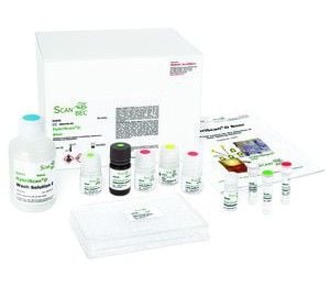 Hệ thống định danh nhanh HybridScan