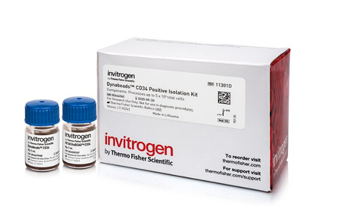 Hóa chất phân lập tế bào CD34 - Dynabeads™ CD34 Positive Isolation Kit