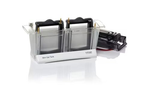Bể Điện Di Protein Đứng Mini Gel Tank