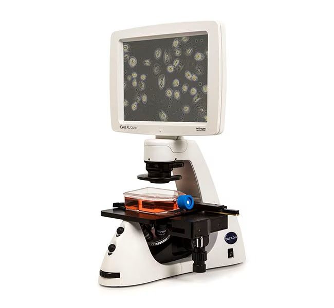Hệ thống thu nhận hình ảnh tế bào EVOS™ XL Core - EVOS™ XL Core Imaging System