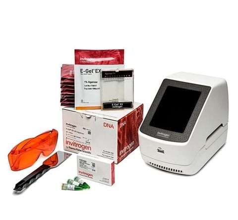 Hệ Thống Điện Di Và Thu Nhận Hình Ảnh Trực Tiếp E-Gel™ Power Snap