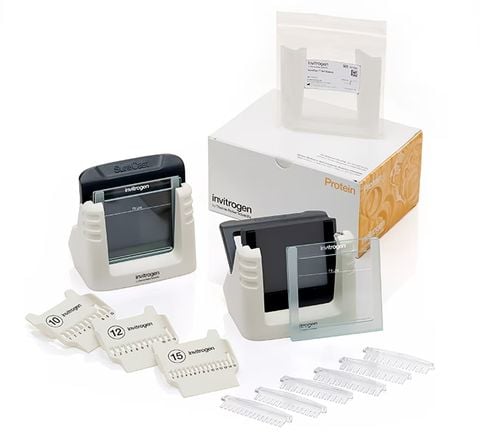 Bộ Đổ Gel Protein SureCast™ Gel Handcast