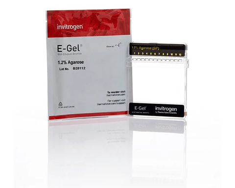Gel đổ sẵn Agarose với thuốc nhuộm SYBR™ E-Gel™ Agarose Gels with SYBR™ Safe DNA Gel Stain