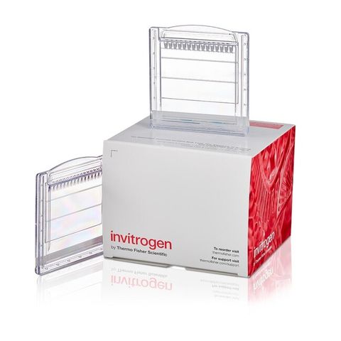 Gel điện di protein đổ sẵn Novex