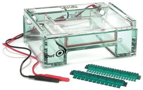 Hệ thống điện di Owl™ EasyCast™ B2