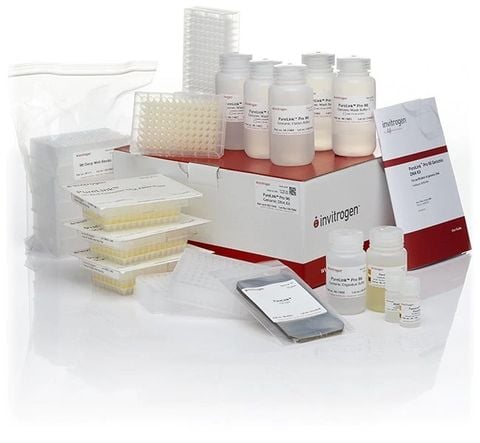 Kit tinh sạch DNA tổng số 96 giếng Purelink - PureLink™ Pro 96 Genomic DNA Purification Kit
