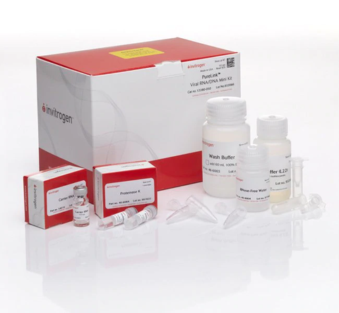 Bộ hóa chất tách chiết RNA/DNA virus - PureLink™ Viral RNA/DNA Mini Kit