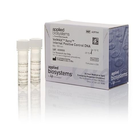 VetMAX™ Xeno™ Internal Positive Control DNA