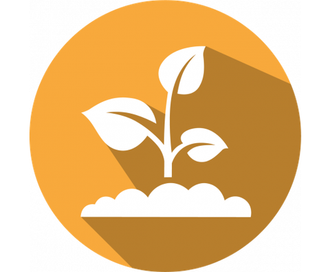 Cry1F LFS kit for Corn/Cotton