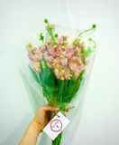  HOA BÓ HB44 