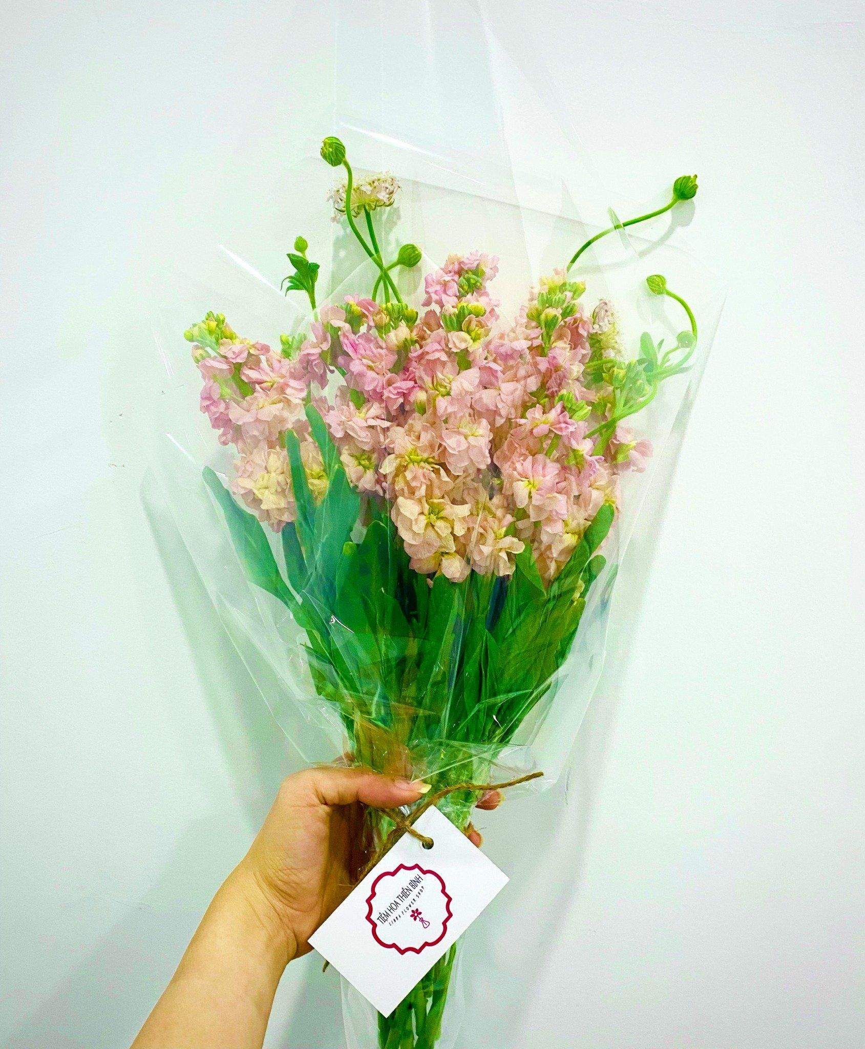  HOA BÓ HB44 