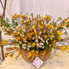 Hoa giỏ HG23