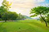  TOUR GOLF HA NOI - BAC GIANG 4D3N 