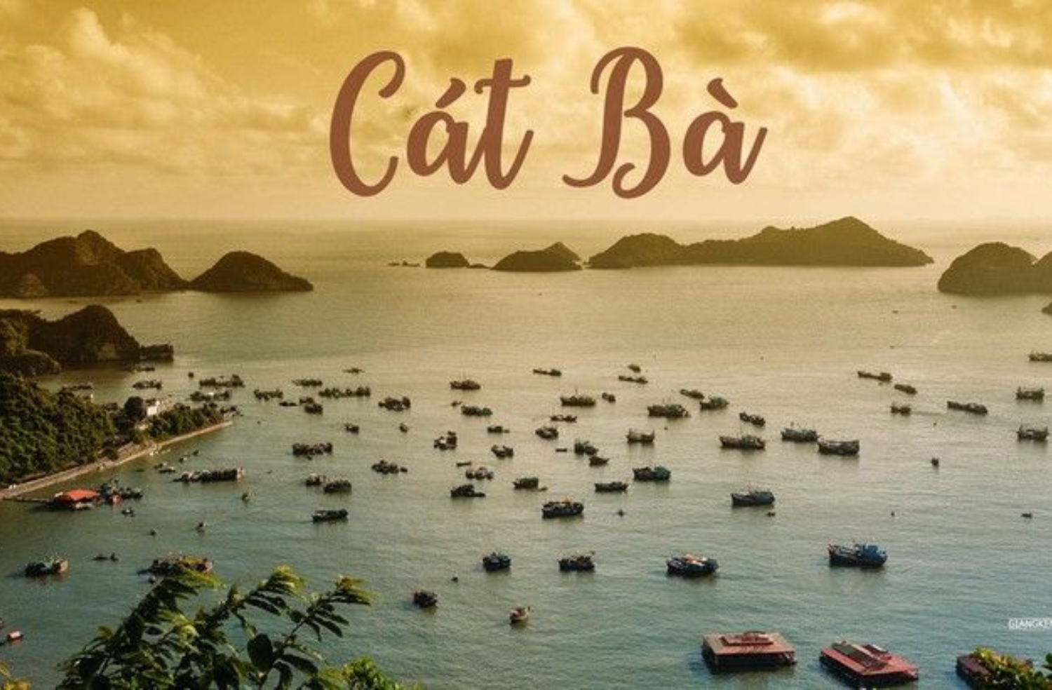  KHÁM PHÁ ĐẢO CÁT BÀ 3N2D 