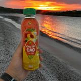  HỒNG TRÀ ĐÀO THẠCH DỪA 247 