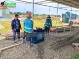 (Cho Thuê Ngày) Máy uốn sắt phi 10-32mm B32 Nhật Bản - Điện 380V, 3 Pha