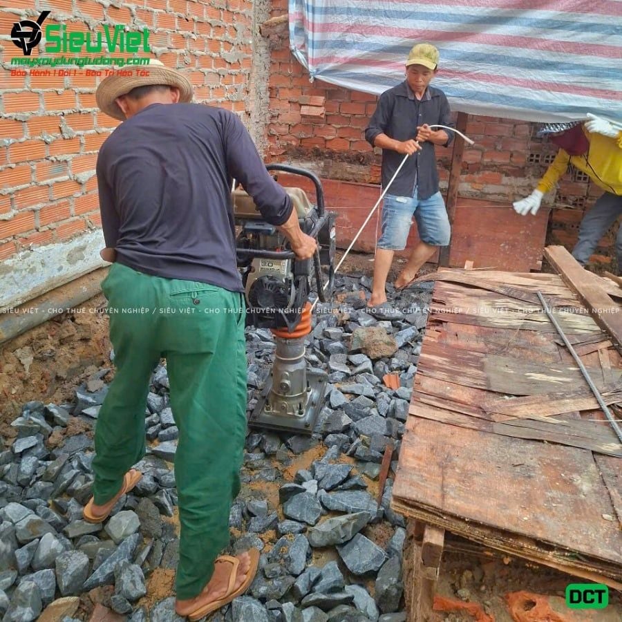 Cho thuê máy đầm cóc xăng, điện - Giá tốt, giao nhanh trong ngày