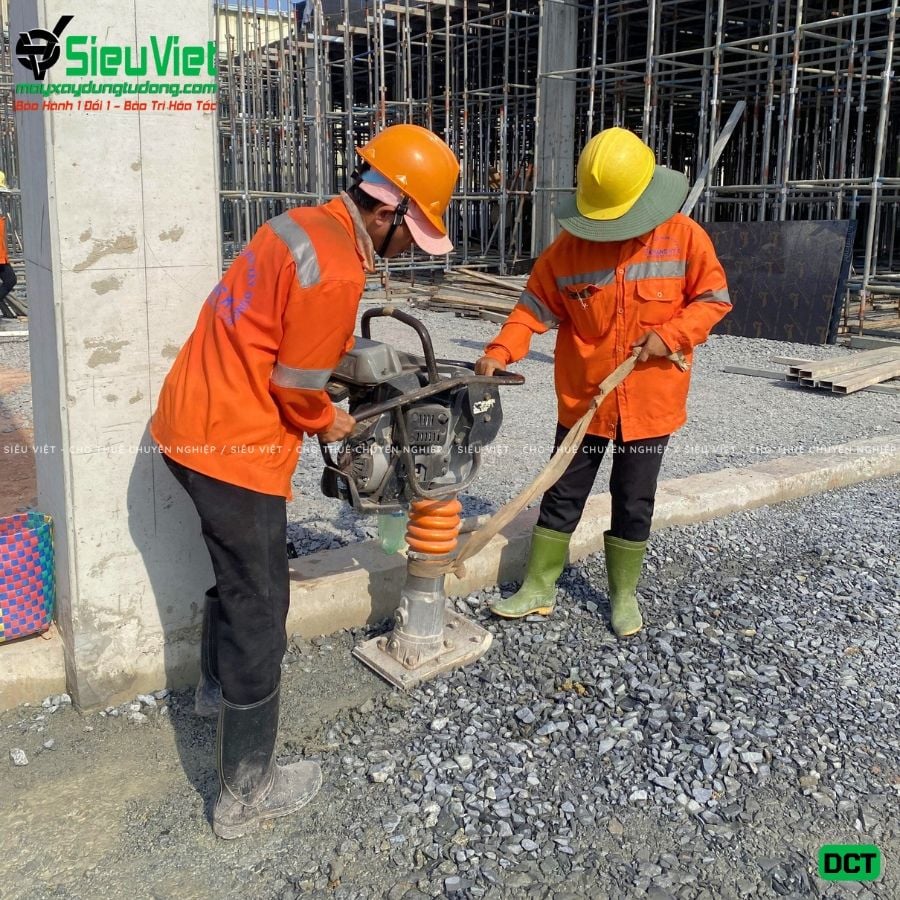 Cho thuê máy đầm cóc xăng, điện - Giá tốt, giao nhanh trong ngày