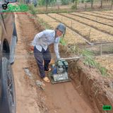 (Cũ) Máy đầm bàn 80-85Kg Nhật Bản (Động cơ Honda GX200 mới 100%)