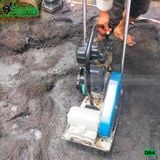 (Cho Thuê Ngày) Máy đầm bàn dưới 50Kg DB4 Nhật Bản - Động cơ xăng