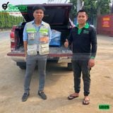 (Cho Thuê Tháng) Máy uốn sắt phi 6-25mm UD25 Hàn Quốc - Điện 220V, 1 Pha