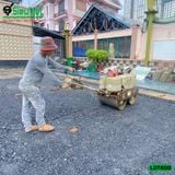 (Cho Thuê Ngày) Xe lu dắt tay 600Kg Nhật Bản - Động cơ Diesel