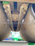 Lu rung dắt tay 640Kg Sakai HV60ST Nhật Bản