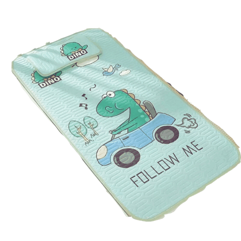 Bộ chiếu gối điều hòa cao cấp