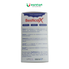 Canxi Bestical X - canxi sinh học dạng viên
